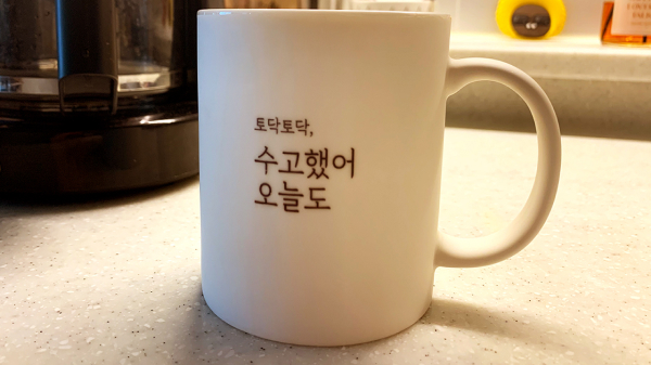 이이언 - '나의 기념일' 기타 커버